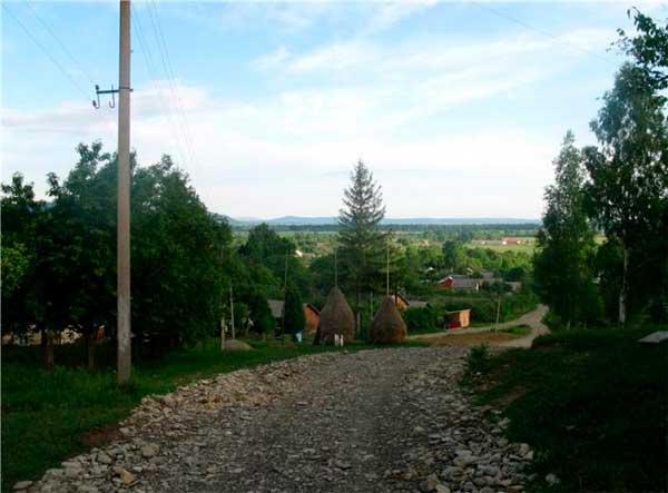bukovyna-vyzhnytsya-bahna