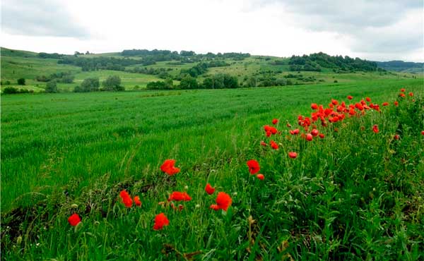 bukovyna-vyzhnytsya-voloka