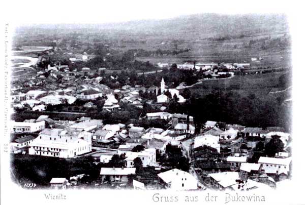bukovyna-vyzhnytsya
