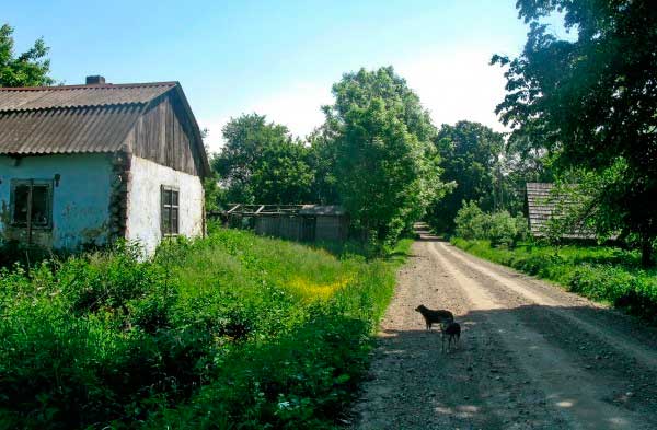 bukovyna-vyzhnytsya-lypovany