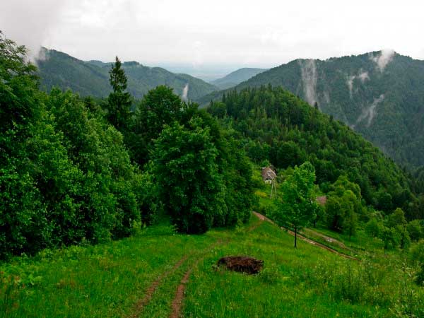 bukovyna-vyzhnytsya-pereval-nimchych