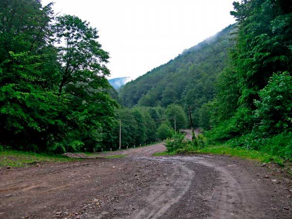 bukovyna-vyzhnytsya-pereval-nimchych
