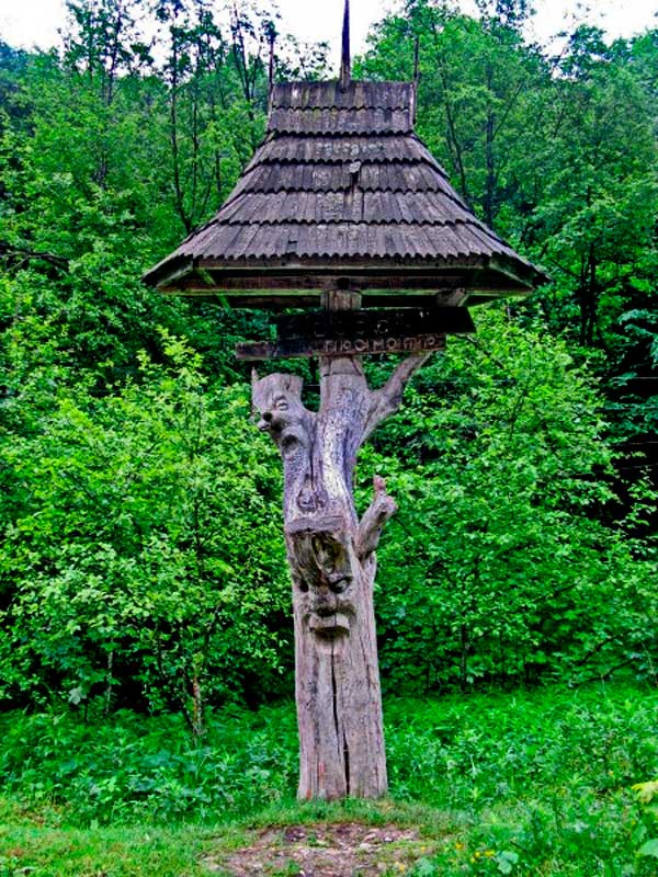 bukovyna-vyzhnytsya-pereval-nimchych