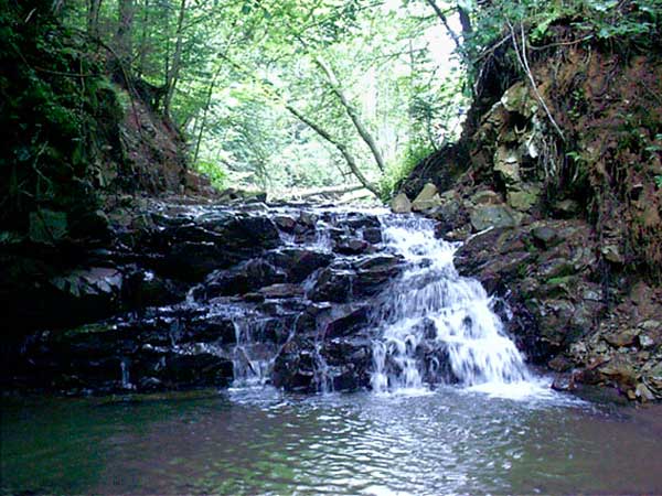 bukovyna-vyzhnytsya