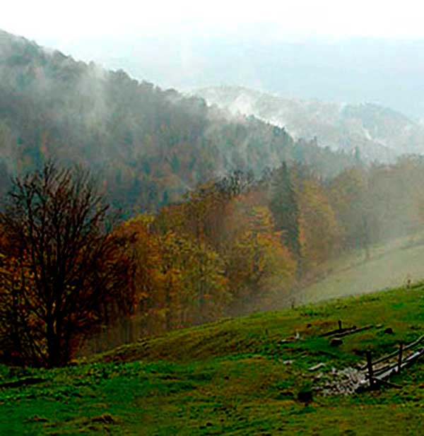 bukovyna-vyzhnytsya