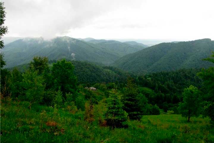 bukovyna-vyzhnytchyna