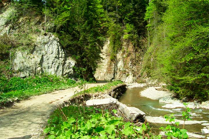 bukovyna-vyzhnytchyna