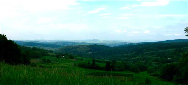 bukovyna-hlybokivschyna-chervona-dibrova