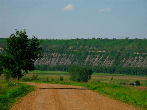 bukovyna-zastavnivschyna-bridok