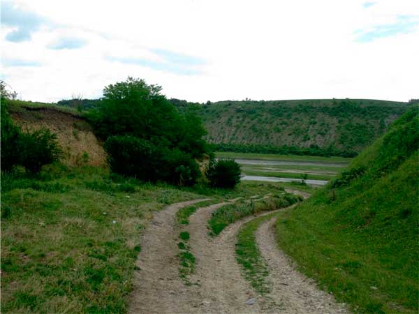 bukovyna-zastavnivschyna-vasyliv