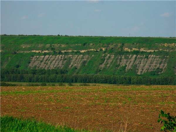bukovyna-zastavnivschyna-samushyn