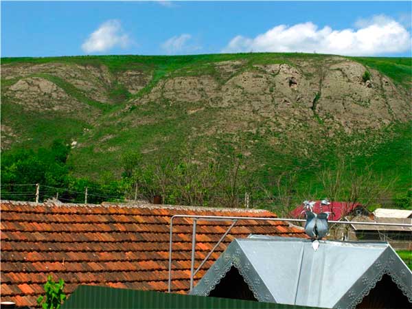 bukovyna-zastavnivschyna-tovtry