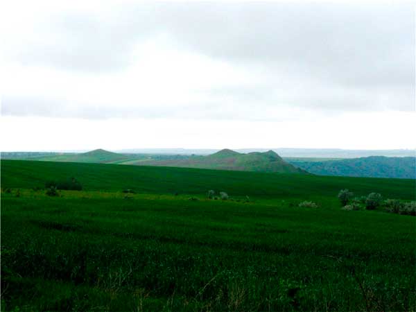 bukovyna-kelmenechchyna-hrushivtsi