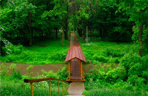 bukovyna-kitsmanschyna