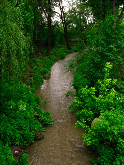 bukovyna-novoselivschyna-novoselytsia
