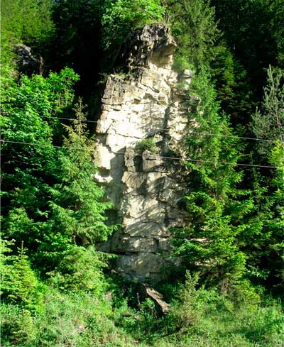 bukovyna-putylschyna-dykhtynets