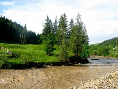 bukovyna-putylschyna-dykhtynets