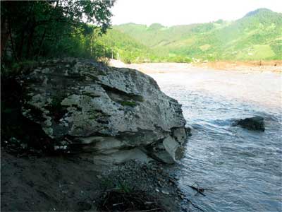 bukovyna-putylschyna-marynychi