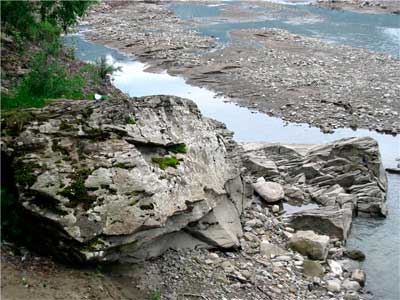 bukovyna-putylschyna-marynychi