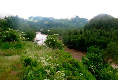 bukovyna-putylschyna-pidzakharychi