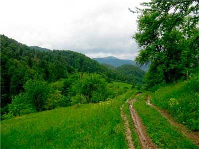 bukovyna-putylschyna-roztoky