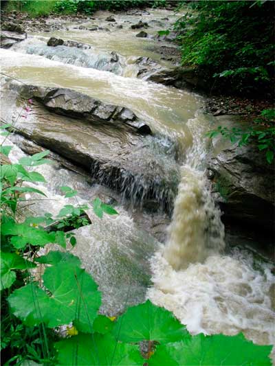 bukovyna-putylschyna-roztoky