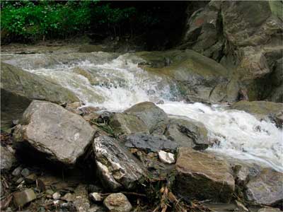 bukovyna-putylschyna-roztoky