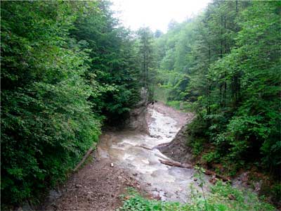 bukovyna-putylschyna-roztoky