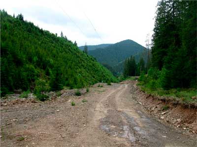 bukovyna-putylschyna-bukovynski-karpaty