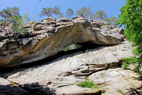 bukovyna-putylschyna