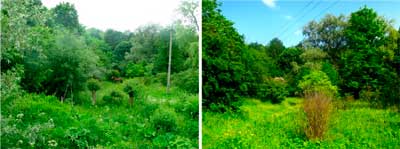 bukovyna-storozhynechchyna-storozhynets