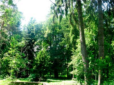bukovyna-storozhynechchyna-stara-zhadova