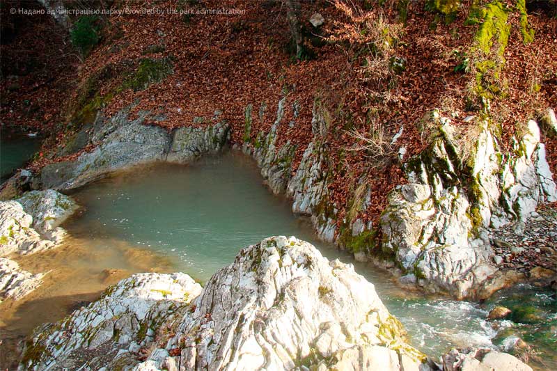 bukovynski-karpaty