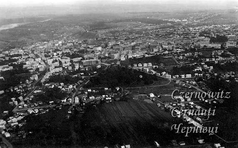 oph 001 008 01