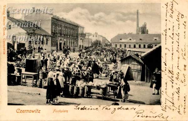 oph 002 008 01