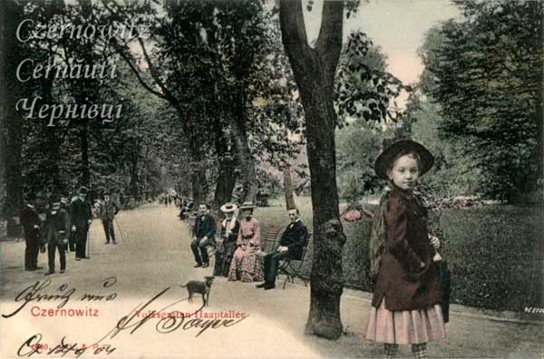 oph 004 019 01