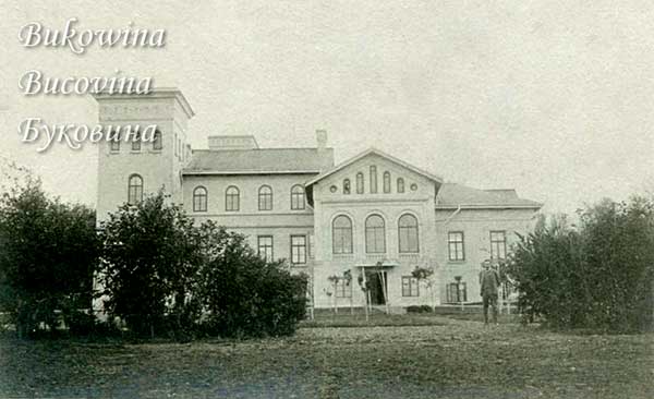 oph 006 005 01