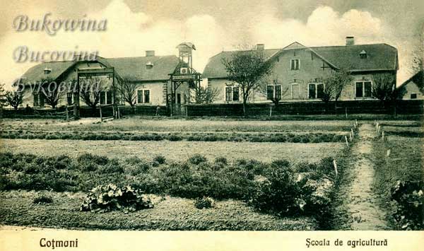 oph 008 009 01