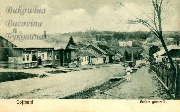 oph 008 010 01