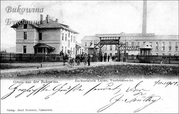 oph 008 011 01