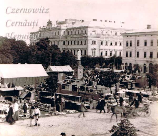 oph 009 003 01