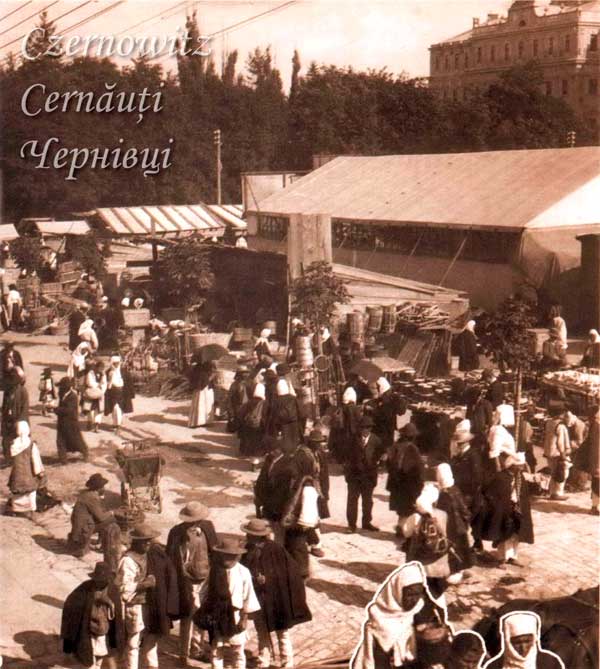 oph 009 009 01
