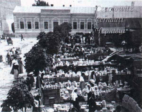 oph 009 012 01