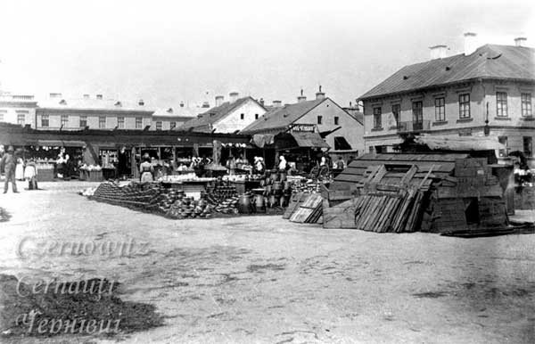 oph 009 014 01