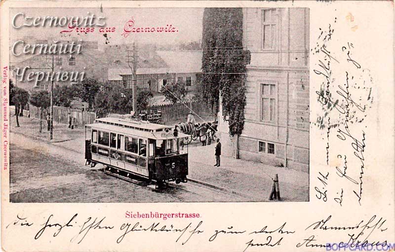 oph 012 003 01