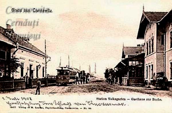 oph 012 004 01