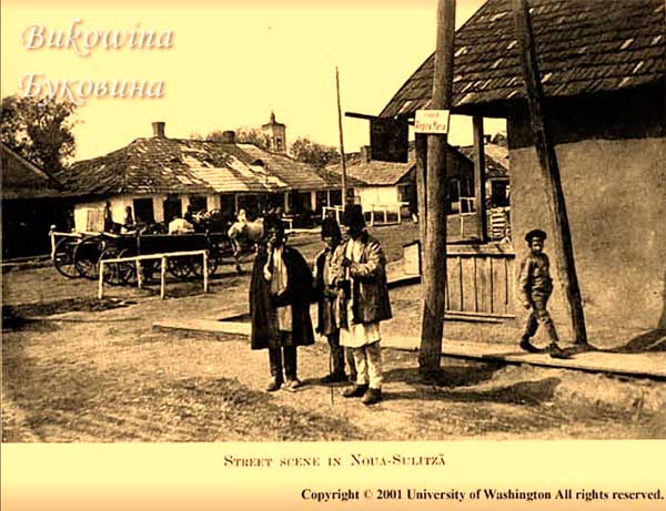 oph 013 004 01