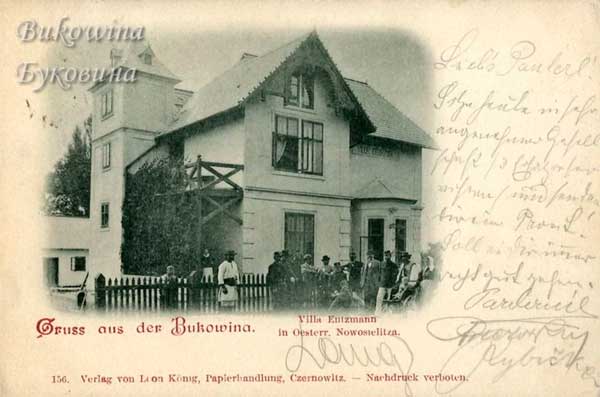 oph 013 006 01