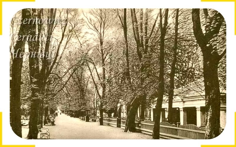 chernivtsi-buktor.icu