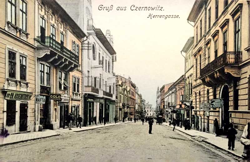 chernivtsi